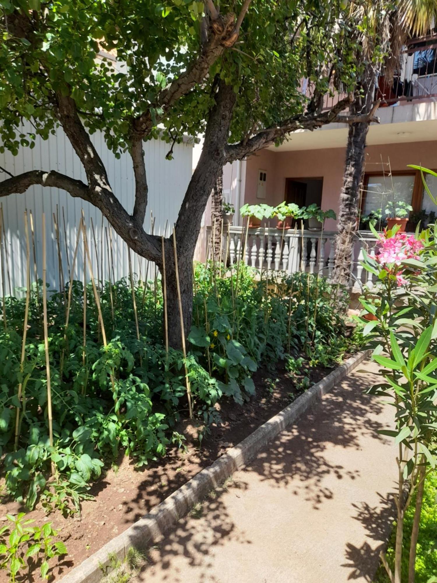 Apartman Avdic موستار المظهر الخارجي الصورة